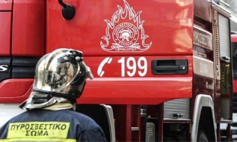 Θεσσαλονίκη: Φωτιά σε μαντρί στο Κολχικό - Κάηκαν 80 αρνιά